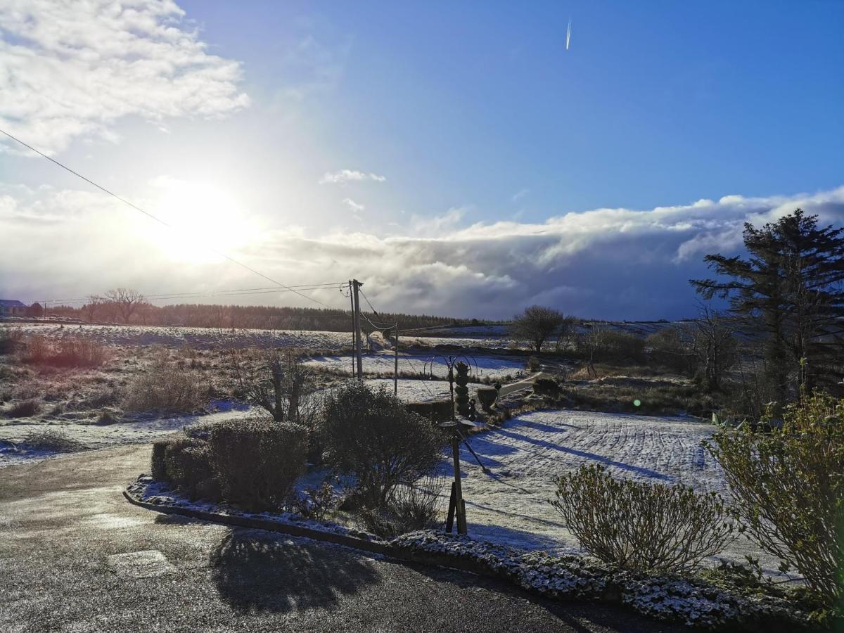 Donegal Town New Listing - Ladybird Cottage - Donegal - Wild Atlantic Way מראה חיצוני תמונה