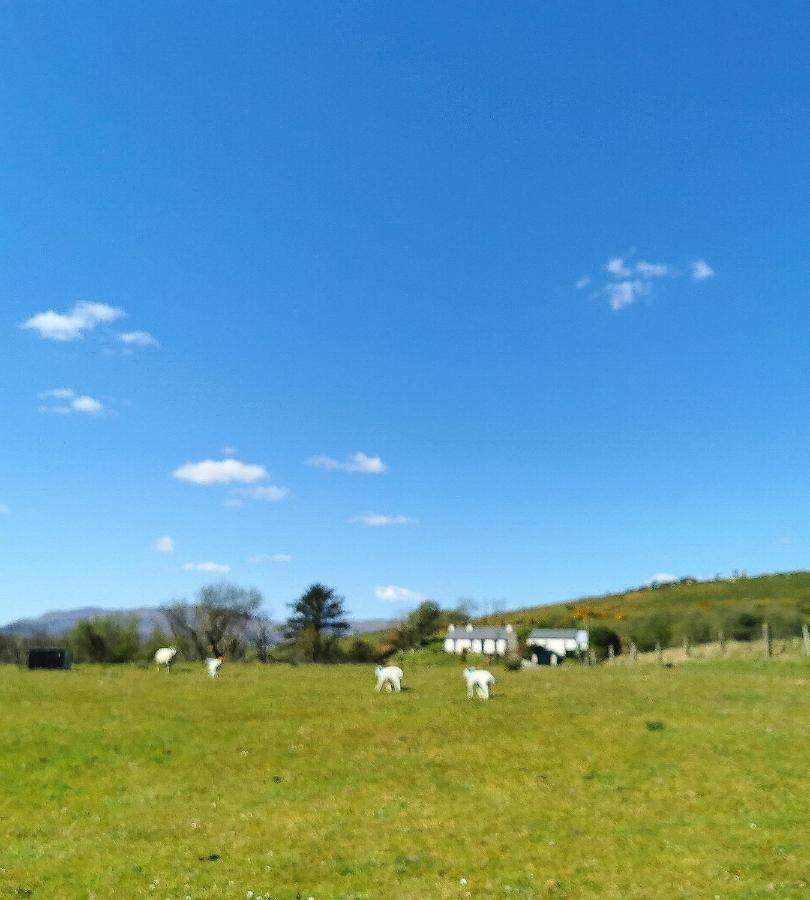 Donegal Town New Listing - Ladybird Cottage - Donegal - Wild Atlantic Way מראה חיצוני תמונה