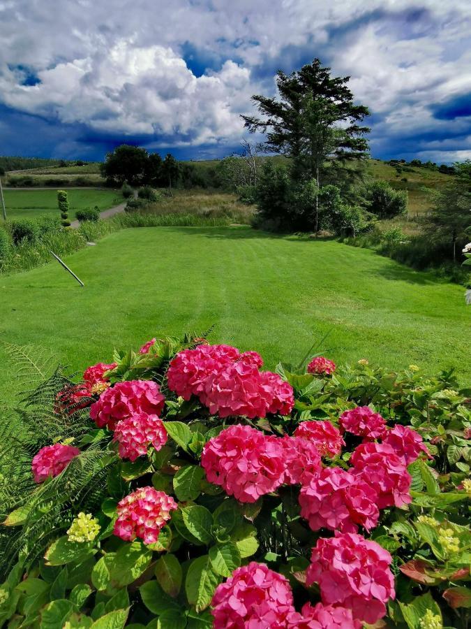 Donegal Town New Listing - Ladybird Cottage - Donegal - Wild Atlantic Way מראה חיצוני תמונה