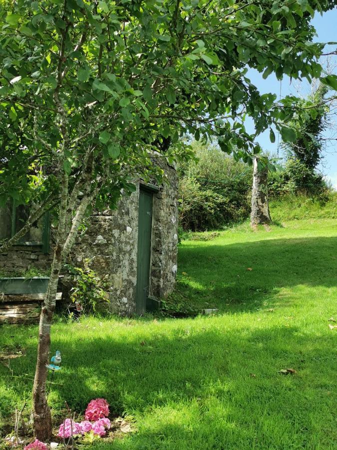 Donegal Town New Listing - Ladybird Cottage - Donegal - Wild Atlantic Way מראה חיצוני תמונה