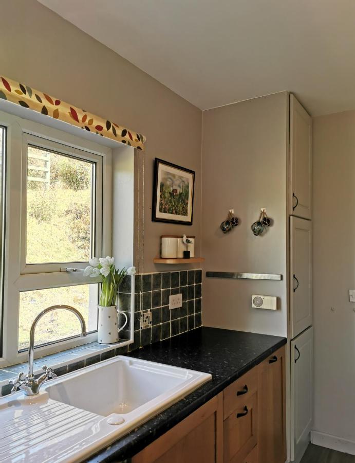 Donegal Town New Listing - Ladybird Cottage - Donegal - Wild Atlantic Way מראה חיצוני תמונה