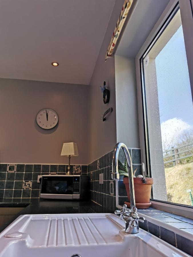 Donegal Town New Listing - Ladybird Cottage - Donegal - Wild Atlantic Way מראה חיצוני תמונה