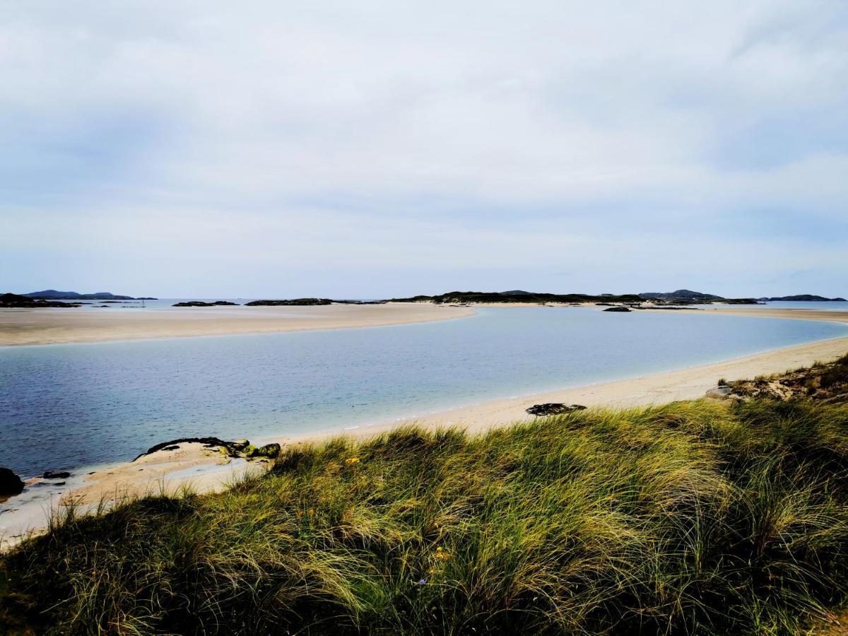 Donegal Town New Listing - Ladybird Cottage - Donegal - Wild Atlantic Way מראה חיצוני תמונה