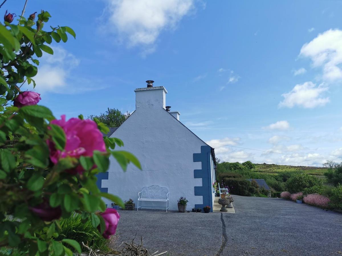 Donegal Town New Listing - Ladybird Cottage - Donegal - Wild Atlantic Way מראה חיצוני תמונה