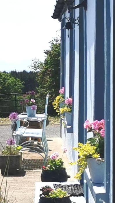Donegal Town New Listing - Ladybird Cottage - Donegal - Wild Atlantic Way מראה חיצוני תמונה